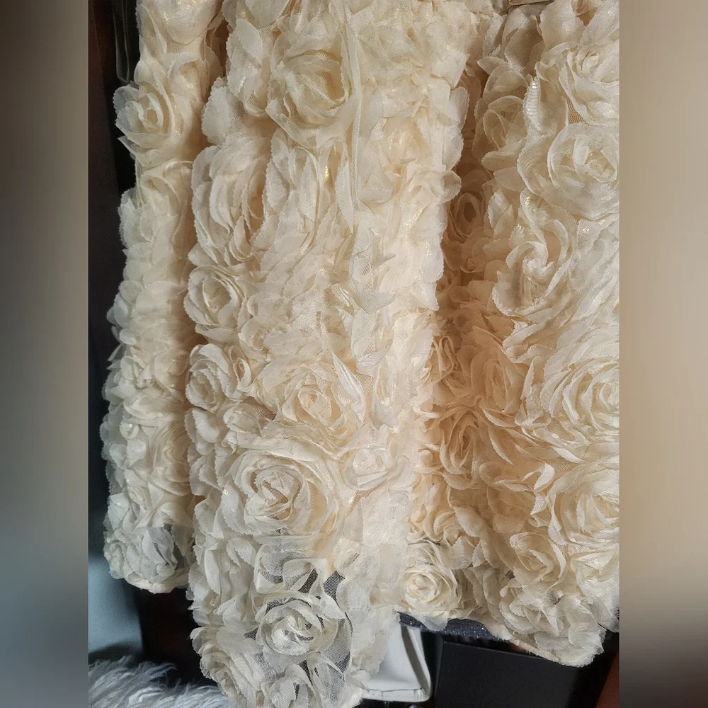 Flower Girl Dress, Roses Gold , PartyDres size 8 - Picture 7 of 14